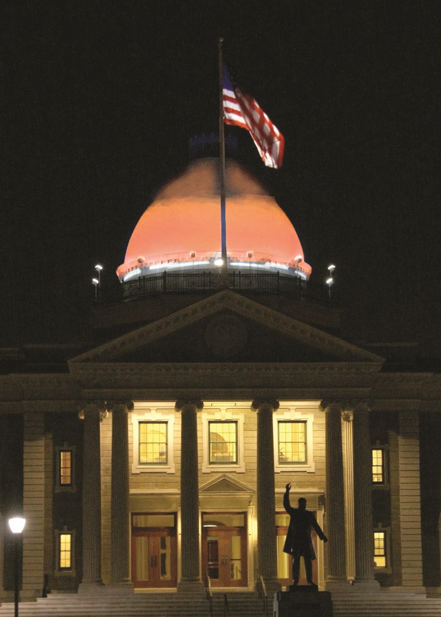 Dome Lighting orange_hungeractionmonth