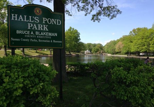 HALLS POND PARK COMMUNITY CLEANUP